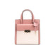 Michael Kors Multicolor Pvc Crossbody Bag