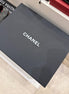 Chanel CHANEL Timeless Classique Jumbo Handbag