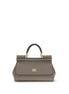 Dolce & Gabbana Gray Calf Leather Bos Taurus Handbag