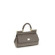 Dolce & Gabbana Gray Calf Leather Bos Taurus Handbag