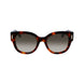 Ferragamo Brown Acetate Sunglasses