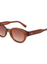 Lacoste Brown Injected Sunglasses