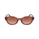 Lacoste Brown Injected Sunglasses