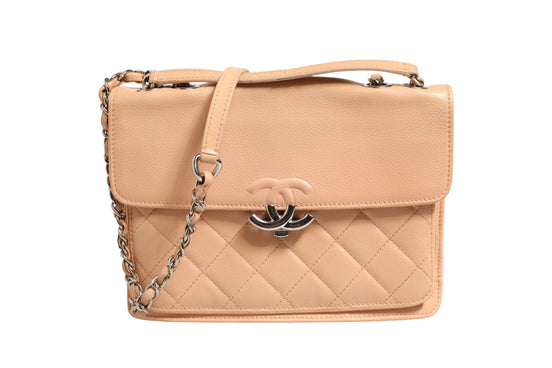 Chanel Goatskin Quilted Small CC Box Flap Bag