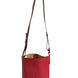 Loewe Gate Raspberry & Wine Leather Bucket Bag