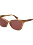 Max Mara Brown Acetate Sunglasses