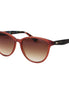 Ted Baker Brown Acetate Sunglasses