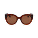 Longchamp Brown Acetate Sunglasses