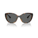 Armani Exchange Brown Injected Sunglasses