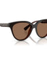 Armani Exchange Brown Injected Sunglasses