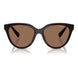Armani Exchange Brown Injected Sunglasses