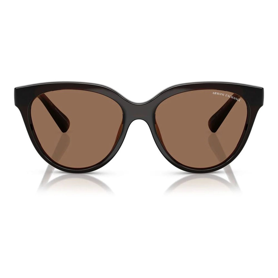 Armani Exchange Brown Injected Sunglasses