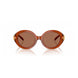 Tory Burch Brown Acetate Sunglasses