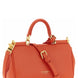 Dolce & Gabbana Orange Calfskin Handbag