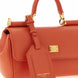 Dolce & Gabbana Orange Calfskin Handbag