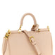 Dolce & Gabbana Multicolor Calfskin Handbag