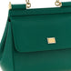 Dolce & Gabbana Bicolor Calfskin Handbag