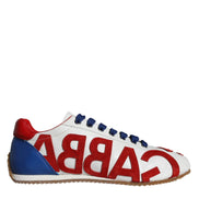 Dolce & Gabbana Πολύχρωμα Casual Sneakers με Δερμάτινο Λογότυπο