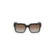 Calvin Klein Brown Plastic Women Sunglasses