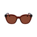 Ferragamo Brown Injected Sunglasses